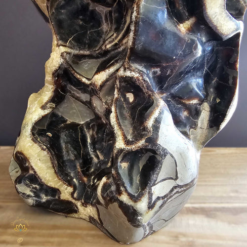 Extra Large Septarian Natural Sculpture | Artistic Symphony 21.2kgs