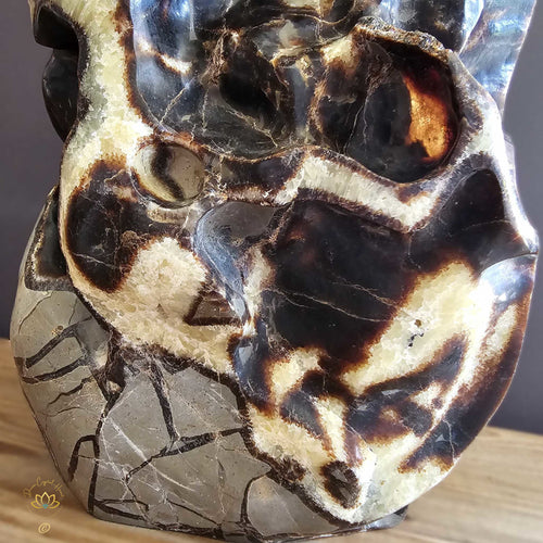Extra Large Septarian Natural Sculpture | Artistic Symphony 21.2kgs