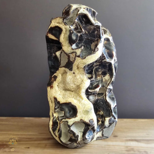 Extra Large Septarian Natural Sculpture | Artistic Symphony 21.2kgs