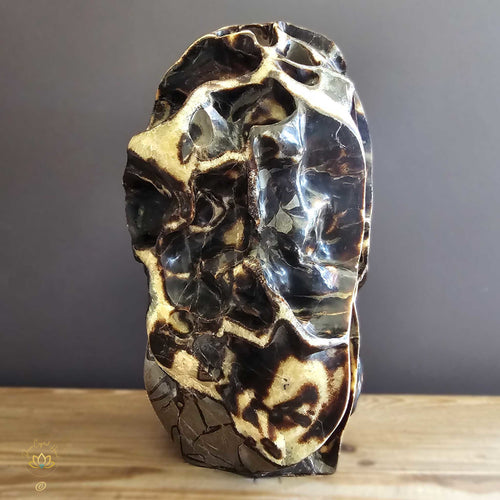 Extra Large Septarian Natural Sculpture | Artistic Symphony 21.2kgs