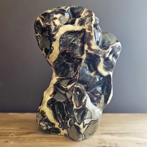 Extra Large Septarian Natural Sculpture | Artistic Symphony 21.2kgs