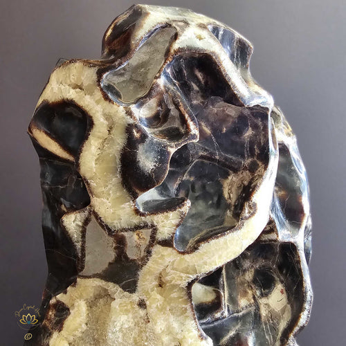 Extra Large Septarian Natural Sculpture | Artistic Symphony 21.2kgs