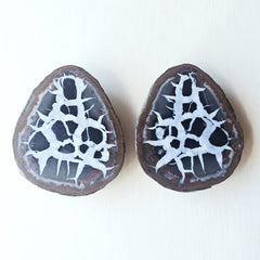 Septarian | Nodule 207gms