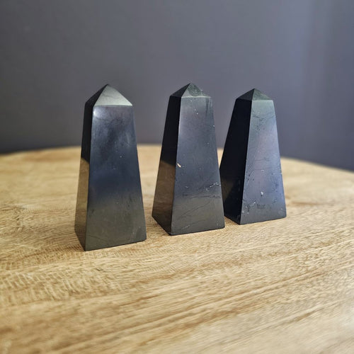 Shungite | Obelisk