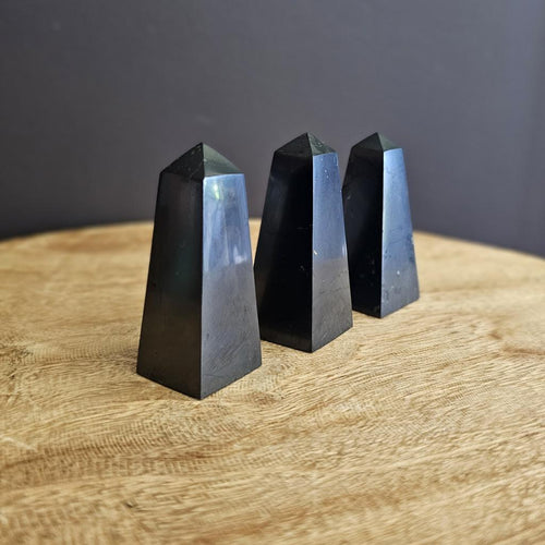 Shungite | Obelisk
