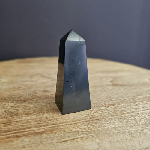 Shungite | Obelisk