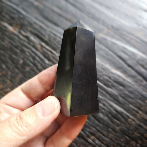 Shungite | Obelisk
