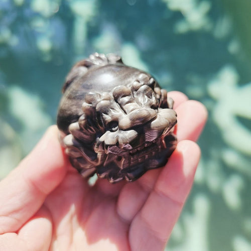Silver Sheen & Gold Sheen Obsidian Dragon Turtles | Sheen Collective