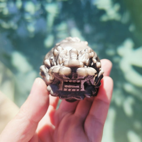 Silver Sheen & Gold Sheen Obsidian Dragon Turtles | Sheen Collective