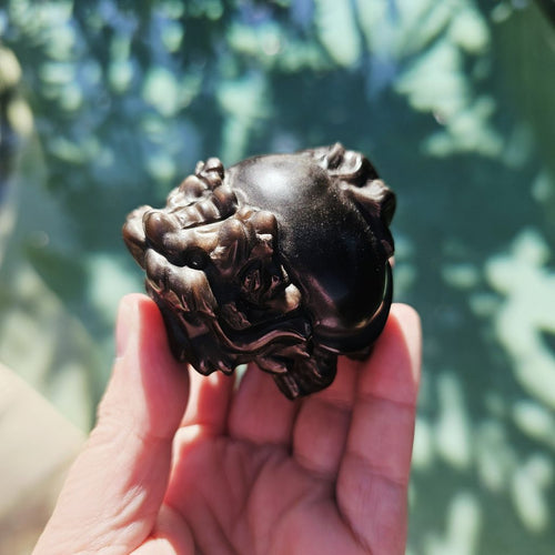 Silver Sheen & Gold Sheen Obsidian Dragon Turtles | Sheen Collective
