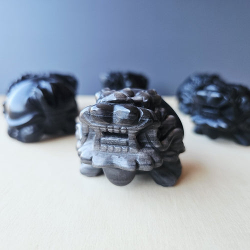 Silver Sheen & Gold Sheen Obsidian Dragon Turtles | Sheen Collective