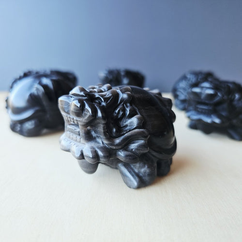 Silver Sheen & Gold Sheen Obsidian Dragon Turtles | Sheen Collective