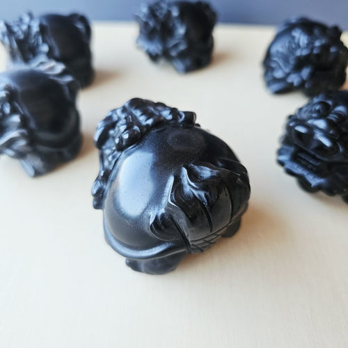 Silver Sheen & Gold Sheen Obsidian Dragon Turtles | Sheen Collective