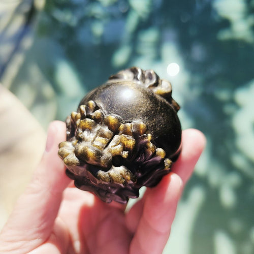 Silver Sheen & Gold Sheen Obsidian Dragon Turtles | Sheen Collective