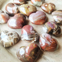 Small Petrified Wood Hearts | Ancient Heartbeat