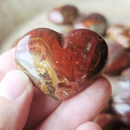 Small Petrified Wood Hearts | Ancient Heartbeat