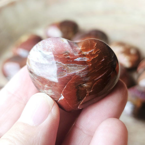 Small Petrified Wood Hearts | Ancient Heartbeat