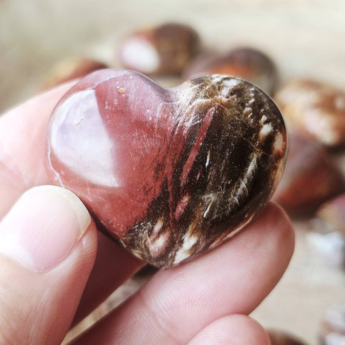 Small Petrified Wood Hearts | Ancient Heartbeat
