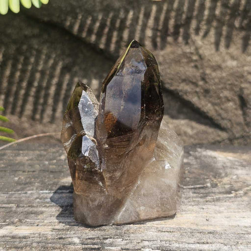 Smoky Quartz Faceted Cluster | Ancient Alignment