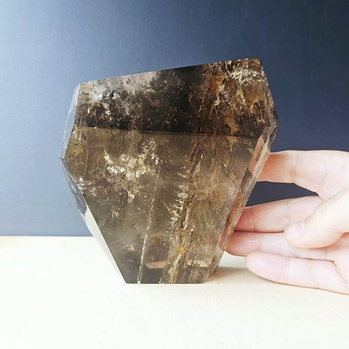 Smoky & Inclusion Quartz Faceted Freeform| Cathedral Of Smoke