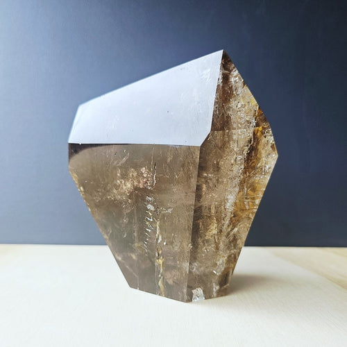 Smoky & Inclusion Quartz Faceted Freeform| Cathedral Of Smoke