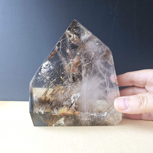Smoky & Inclusion Quartz Faceted Freeform| Electric Smoke