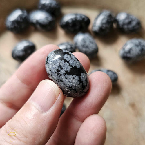 Snowflake Obsidian Tumbled Stones