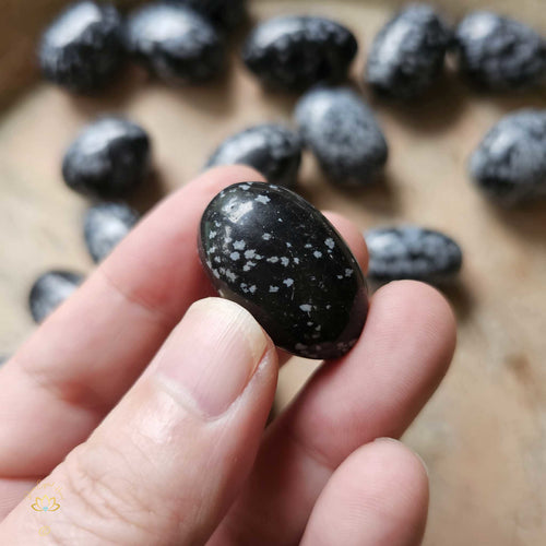 Snowflake Obsidian Tumbled Stones