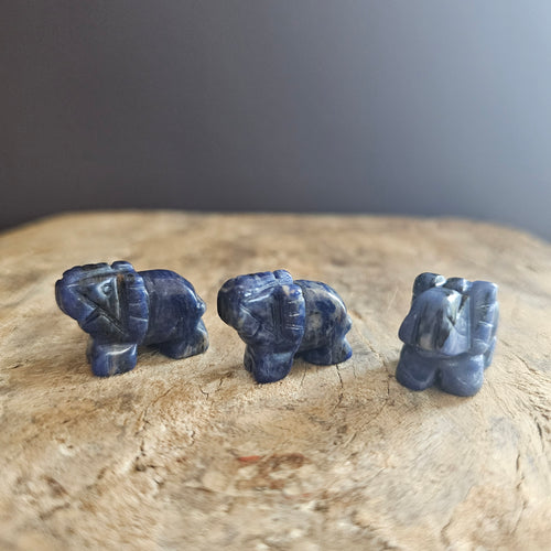 Sodalite | Mini Elephants