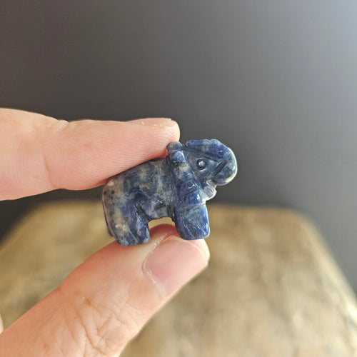 Sodalite | Mini Elephants