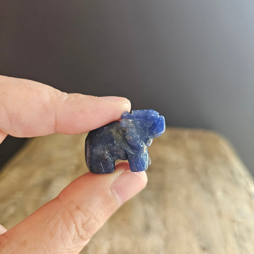 Sodalite | Mini Elephants