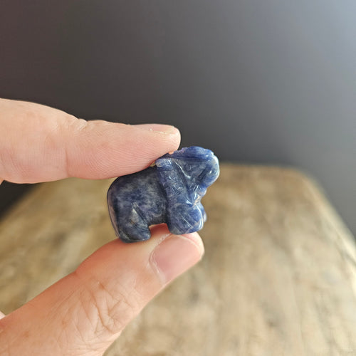 Sodalite | Mini Elephants