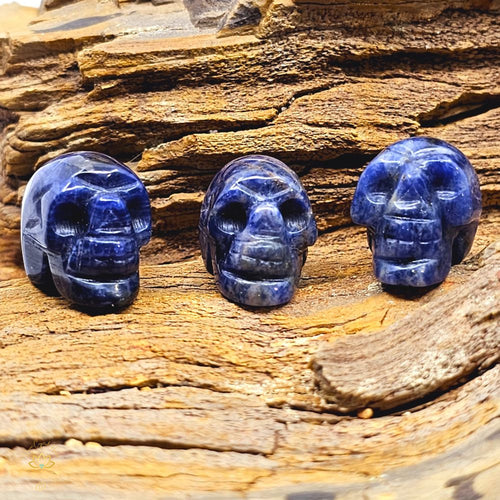 Sodalite | Mini Skulls