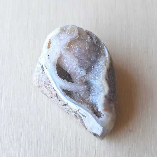 Spiralite Shell With Druzy Quartz | Ancient Spiral Of Light