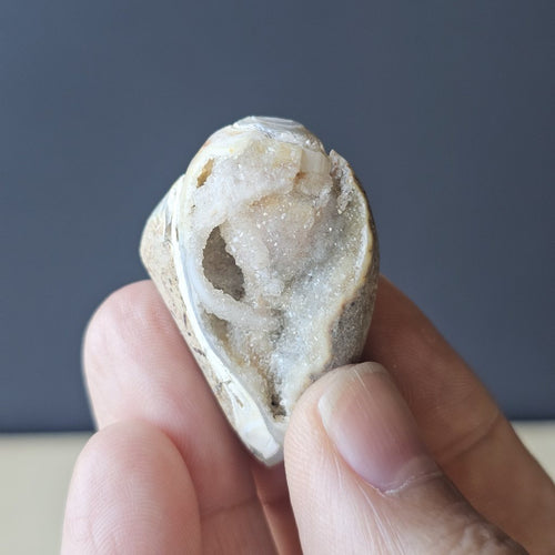 Spiralite Shell With Druzy Quartz | Ancient Spiral Of Light