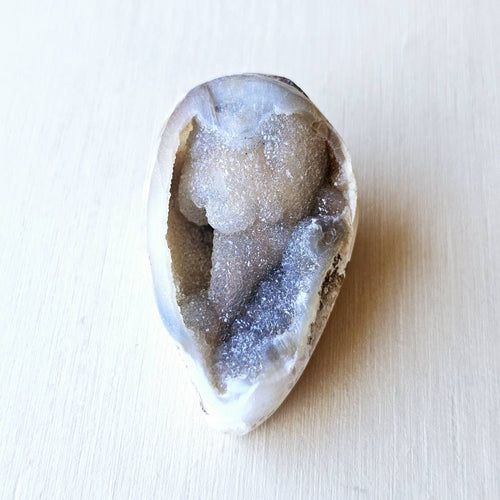 Spiralite Shell With Druzy Quartz | Crystalline Cocoon