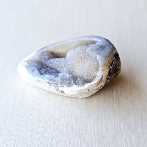 Spiralite Shell With Druzy Quartz | Crystalline Cocoon