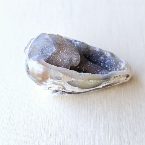 Spiralite Shell With Druzy Quartz | Crystalline Cocoon