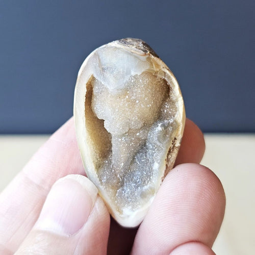 Spiralite Shell With Druzy Quartz | Crystalline Cocoon