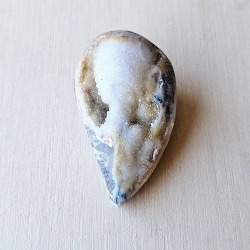 Spiralite Shell With Druzy Quartz | Tethyan Relic