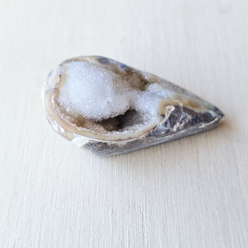 Spiralite Shell With Druzy Quartz | Tethyan Relic