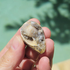 Spiralite Shell With Druzy Quartz | Waves Of The Ocean