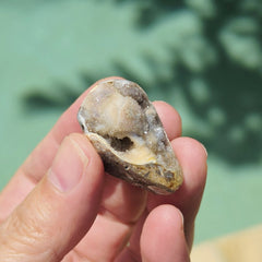 Spiralite Shell With Druzy Quartz | Waves Of The Ocean