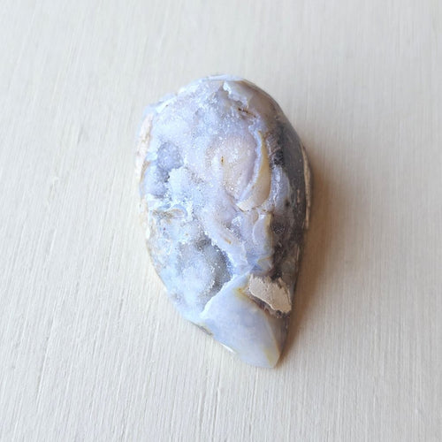 Spiralite Shell With Druzy Quartz | Waves Of The Ancients