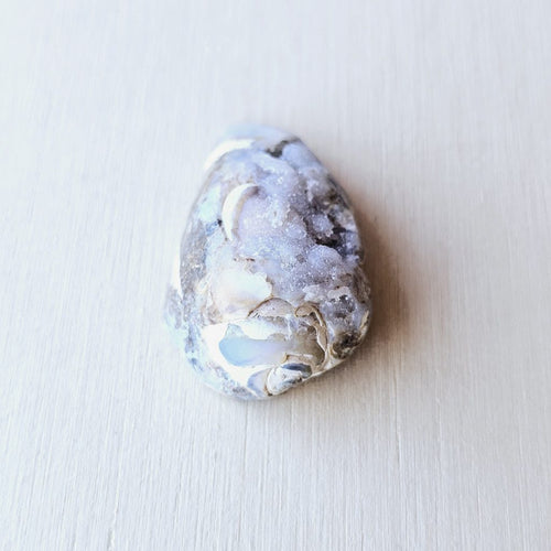 Spiralite Shell With Druzy Quartz | Whisper Of The Tethys