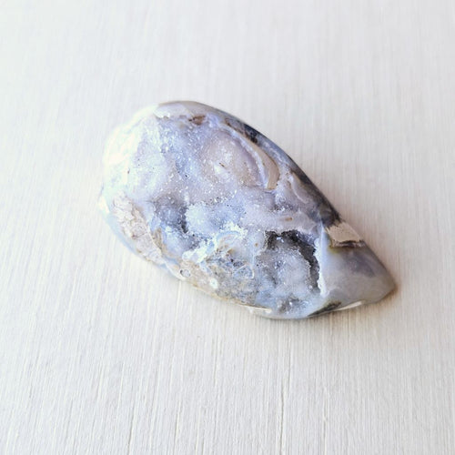 Spiralite Shell With Druzy Quartz | Waves Of The Ancients