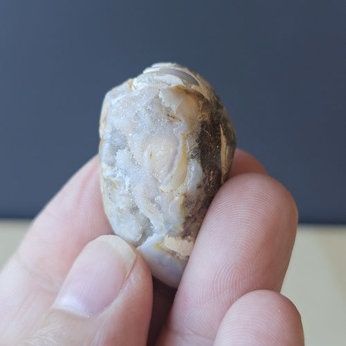 Spiralite Shell With Druzy Quartz | Whisper Of The Tethys