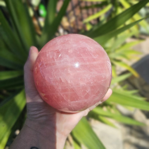 Star Rose Quartz Sphere | Aurora Heart Sphere