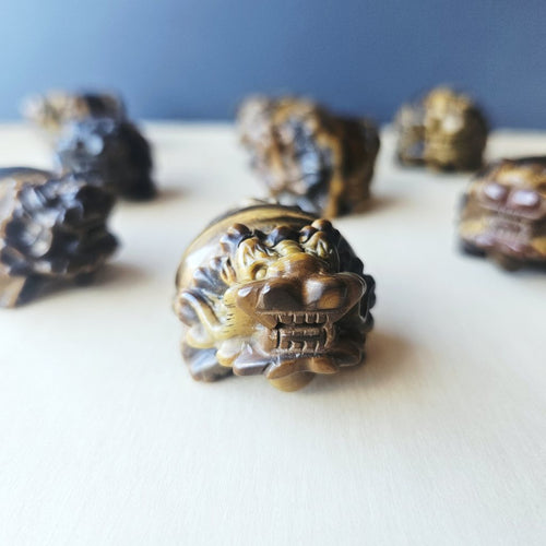 Tiger Eye Dragon Turtle | Steady Success