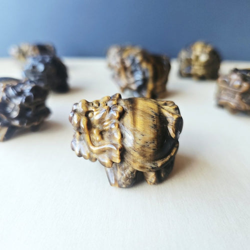 Tiger Eye Dragon Turtle | Steady Success